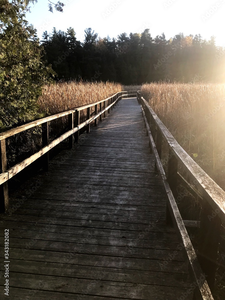Marsh Boardwalk Marsh Boardwalk