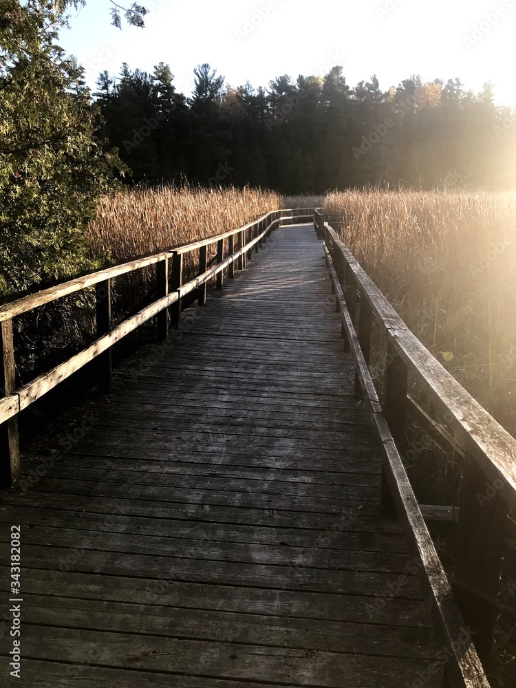 Marsh Boardwalk