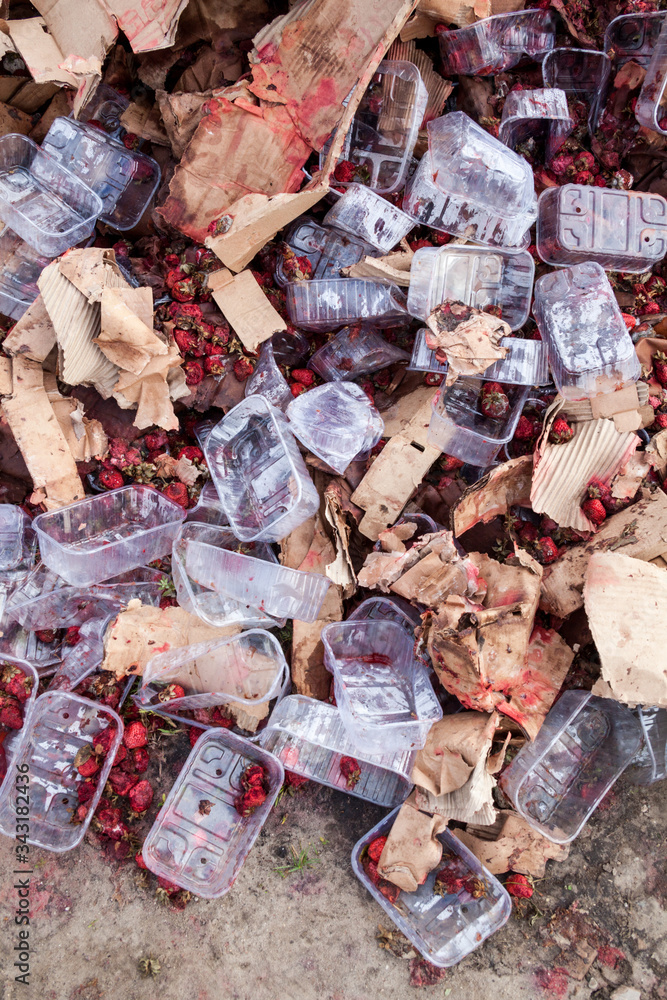 Rotten strawberries on the landfill