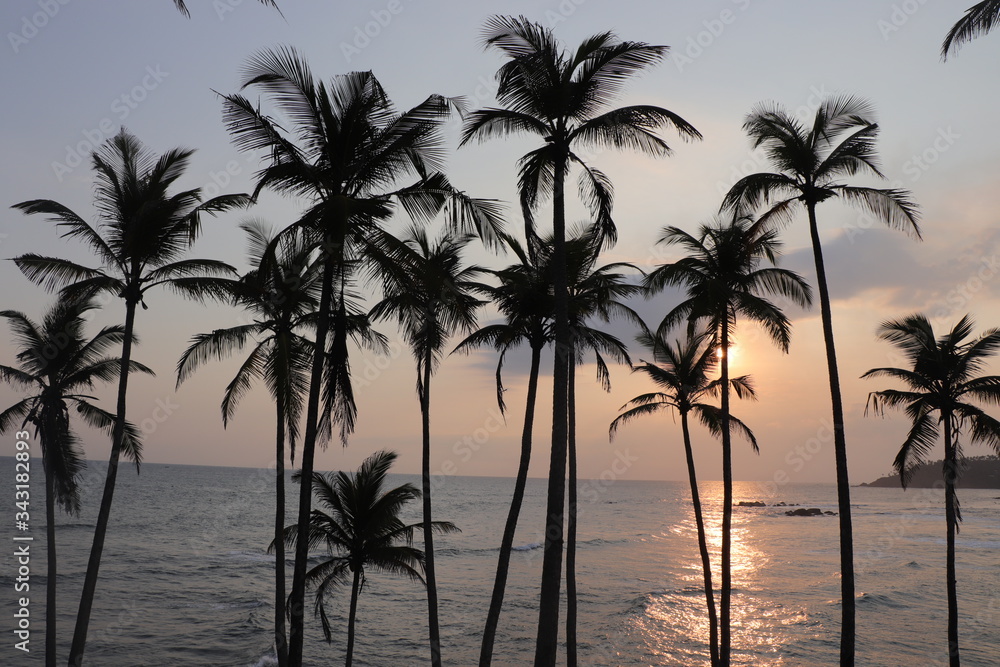 Coconut Hill Mirissa coucher de soleil Sri Lanka