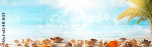 Beautiful sand beach background with seashells on the seashore. Copy space for text.
