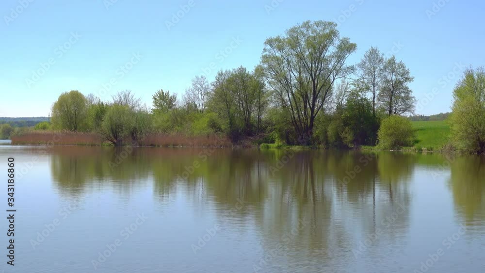 lake with trees growing on the shore. reflection of trees in water lake with trees growing on the shore. reflection of trees in water