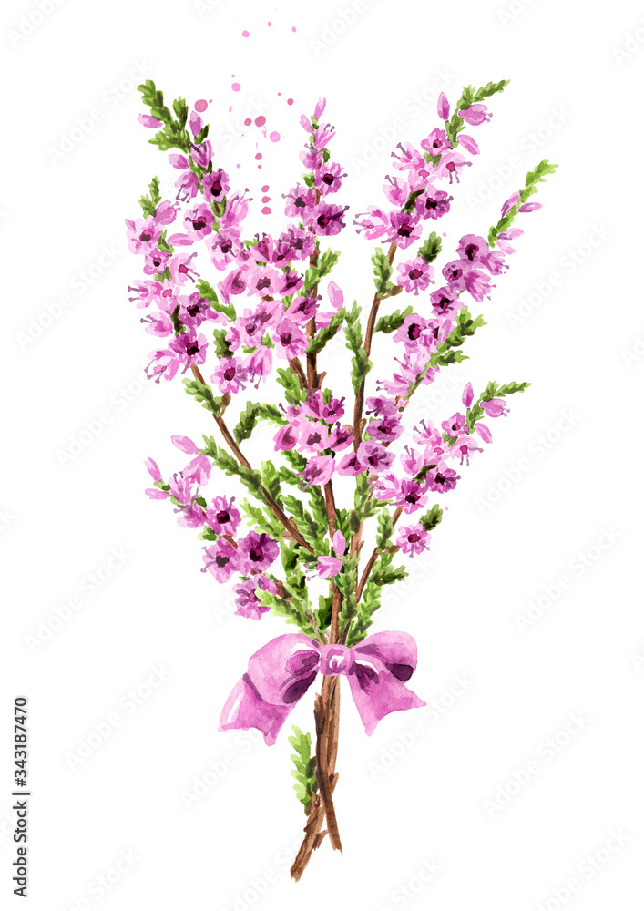 Bunch of Heather, purple flowers, a symbol of good luck