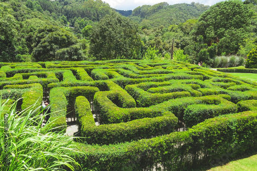 maze in the garden