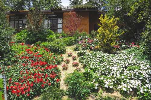 Way in garden with flowers