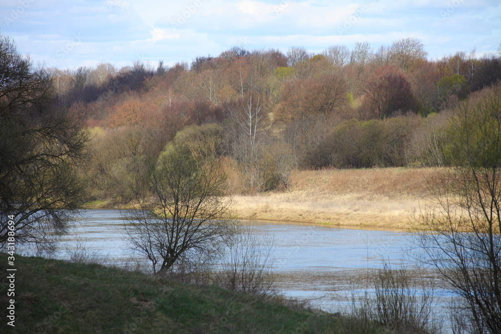 Bare trees and river on multi-tier forest on horizon background, beautiful water landscape at Sunny spring day Bare trees and river on multi-tier forest on horizon background, beautiful water landscape at Sunny spring day