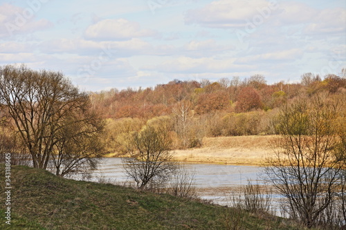 Bare tree and water on multi-level forest on horizon background, beautiful river landscape at Sunny spring day