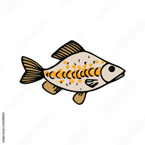 river fish, crucian, doodle, vector illustration