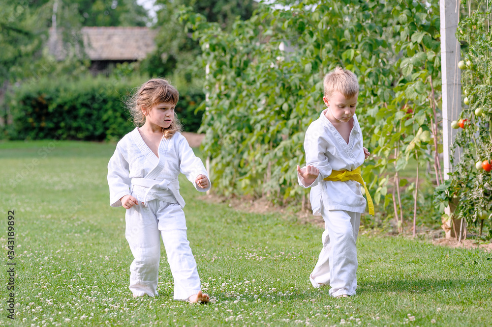 Young karate girl and boy train on the grass in backyard of home Young karate girl and boy train on the grass in backyard of home