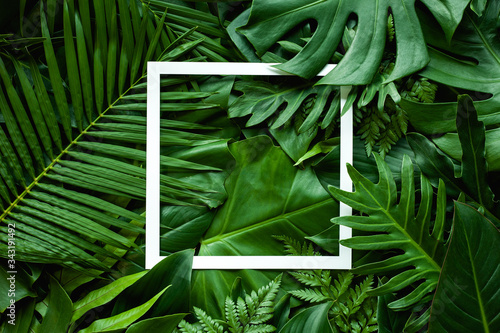 tropical green leaves and palms with white paper note frame, nature flat lay concept