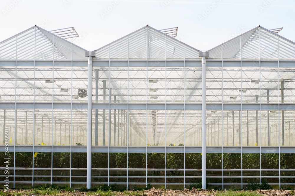 Exterior of a greenhouse made of glass