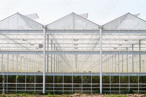 Exterior of a greenhouse made of glass