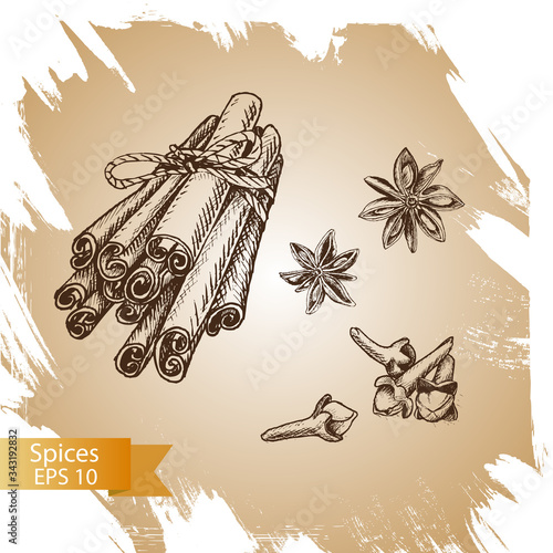 Vector background sketch star anis, clove, cardamom, vanilla, cinnamon.