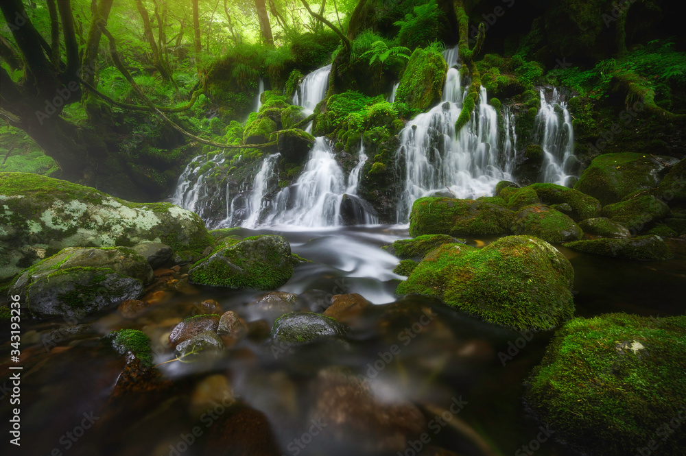 Fototapeta premium Beautiful tranquil scene summer view of Deep forest mototaki fall in Akita prefecture in Japan