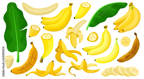 Banana isolated cartoon set icon. Vector illustration tropical fruit on white background.Cartoon vector set icon banana .