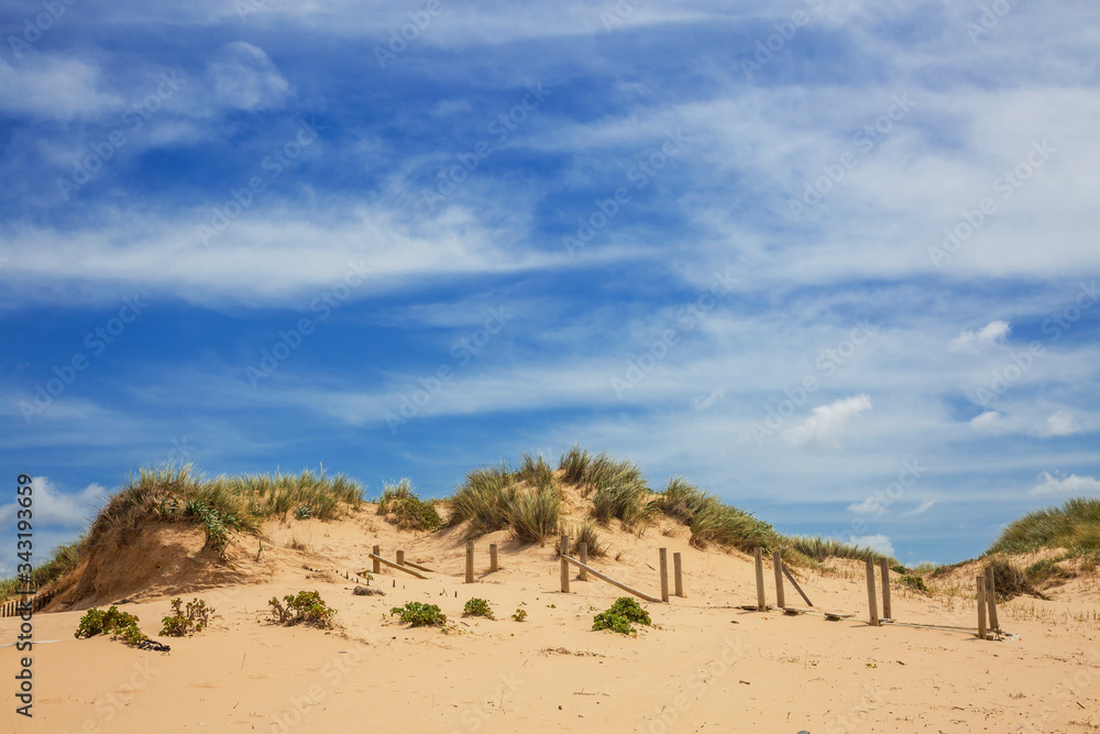 Dunes and sea landscape at the Amoreira beach in Portugal