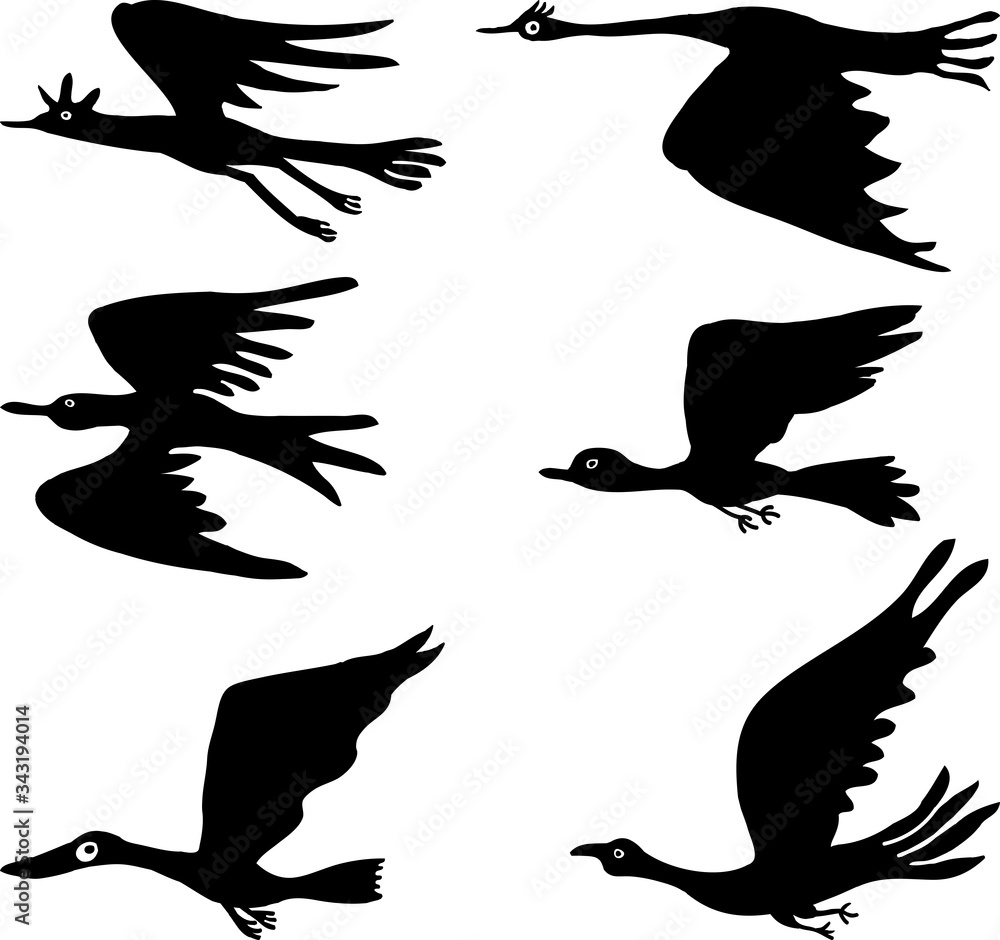 Vector image of set various flying birds silhouettes Vector image of set various flying birds silhouettes