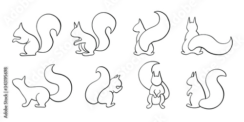 Vector set of squirrel, outline squirrel collection, black calligraphy line art, indifferent position isolated on white background,