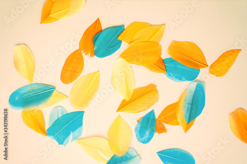 Colored feathers on colorful background