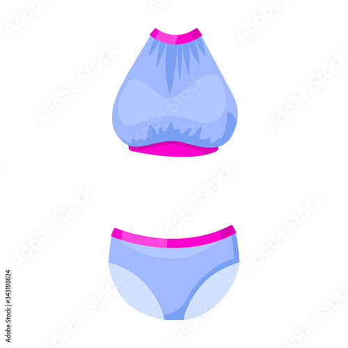 Swimsuit vector icon.Cartoon vector icon isolated on white background swimsuit.