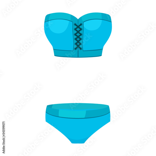 Swimsuit vector icon.Cartoon vector icon isolated on white background swimsuit.