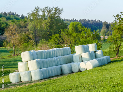 Eingeschweisste Silageballen