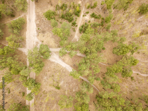 A dirt path in the coniferous forest in early spring. Aerial drone view.
