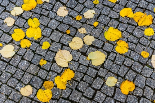 Valokuvatapetti High Angle View Of Fallen Yellow Leaves On Cobbled Street