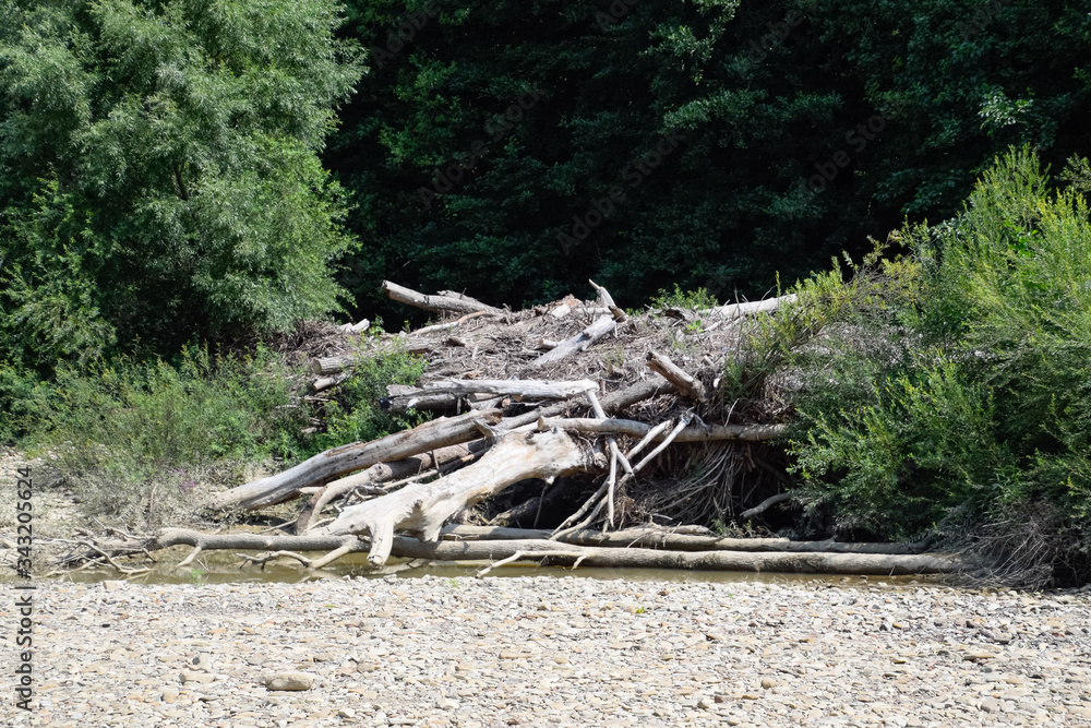 Branches piled up in pile brought by rain. Branches piled up in pile brought by rain.