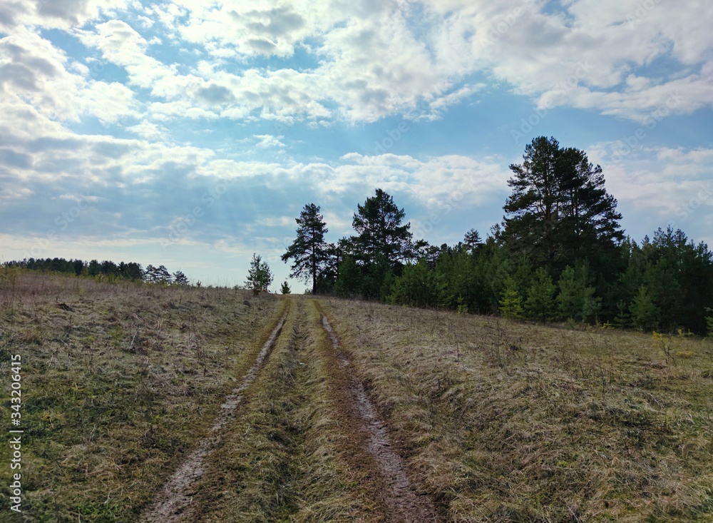 the road leading to the top of the slope against the background of trees and blue sky with clouds the road leading to the top of the slope against the background of trees and blue sky with clouds