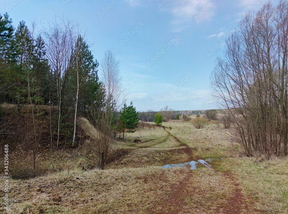 Fototapeta premium a road running between trees through a puddle against a blue spring sky