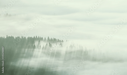 Landscape with Fog in Valley