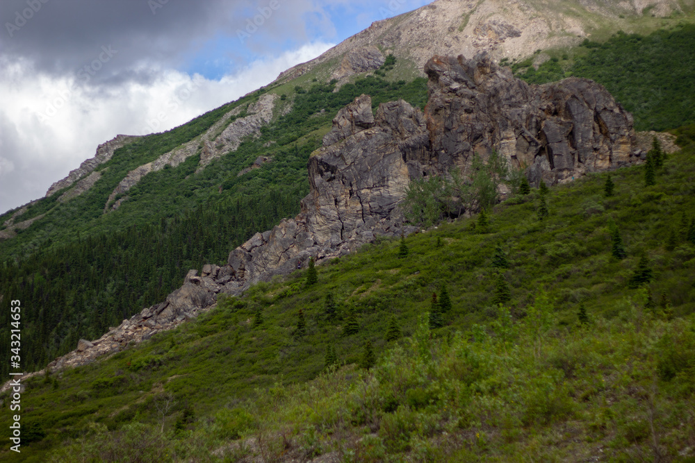 Naklejka premium View of the mountain and rocks in summer Alaska