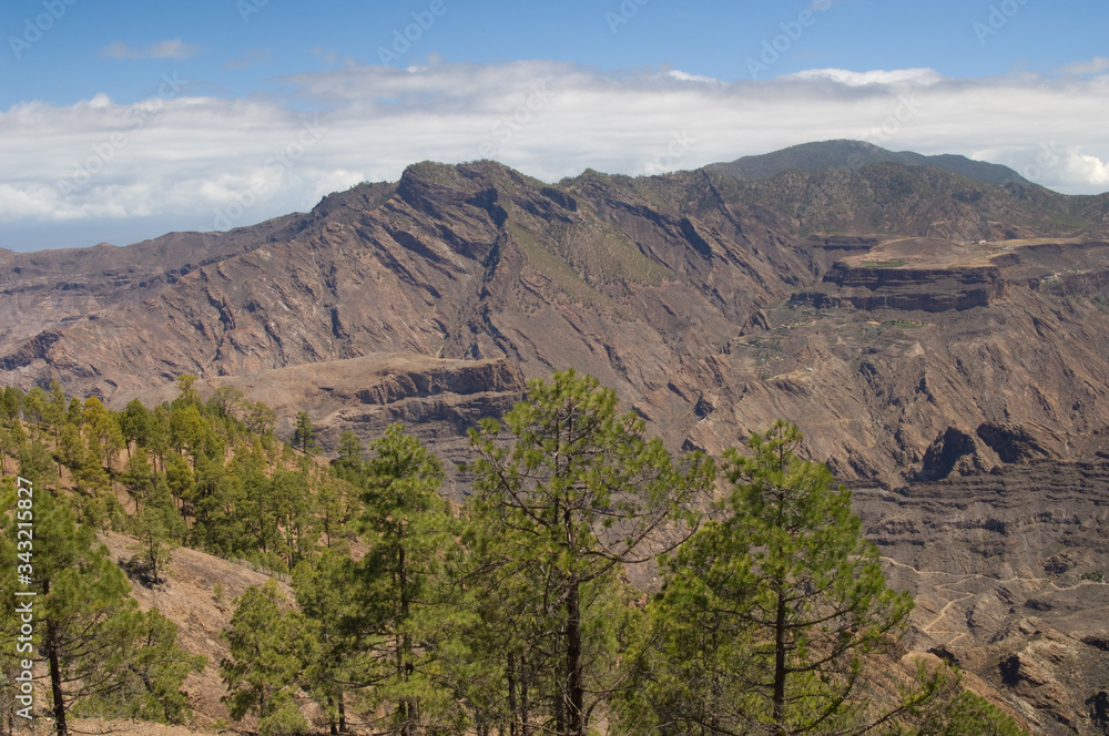 Integral Natural Reserve of Inagua, Mesa del Junquillo, Mesa de Acusa and Tamadaba Natural Park. Gran Canaria. Canary Islands. Spain.