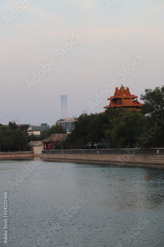 Douve de la Cité interdite à Pékin, Chine	