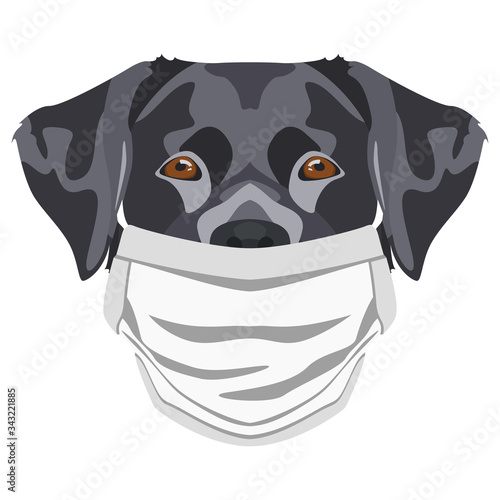 Illustration Hund Labrador mit Atemschutzmaske