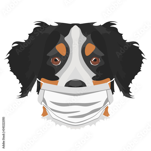 Illustration Hund Berner Sennenhund mit Atemschutzmaske