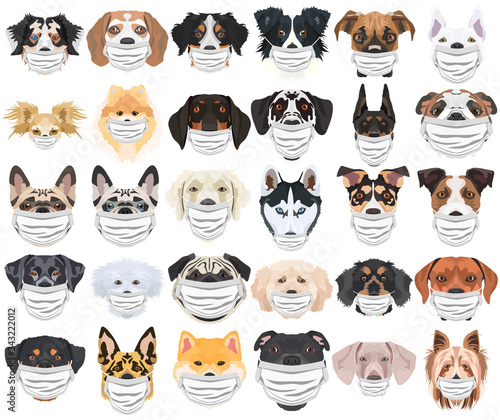 Illustration Hunde mit Atemschutzmaske Set