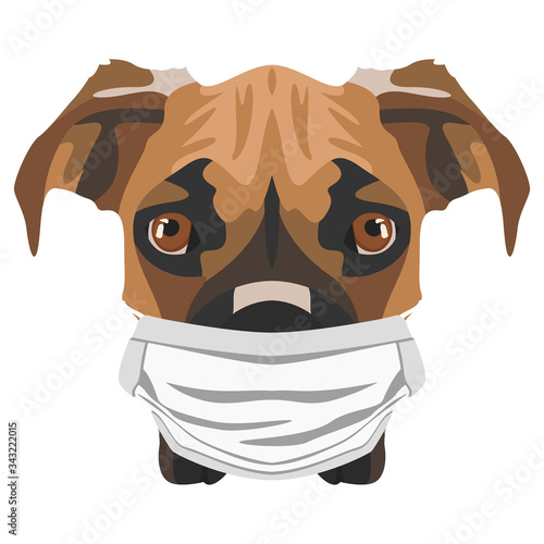 Illustration Hund Boxer mit Atemschutzmaske