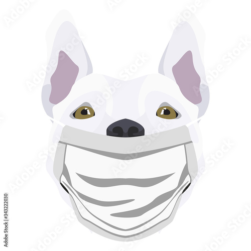 Illustration Hund Bullterrier mit Atemschutzmaske