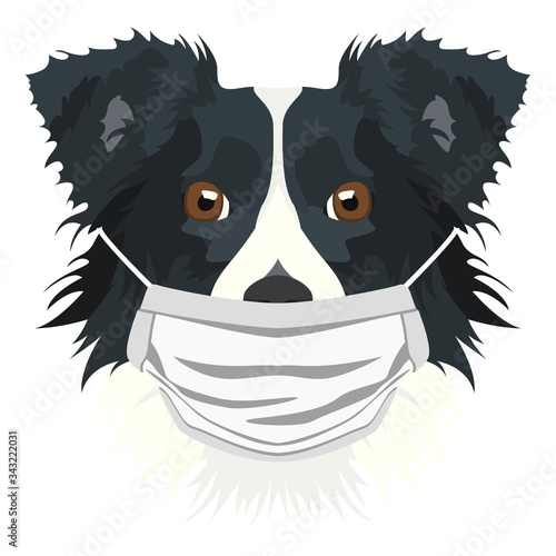 Illustration Hund Border Collie mit Atemschutzmaske