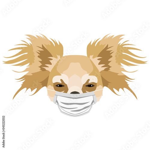 Illustration Hund Chihuahua mit Atemschutzmaske