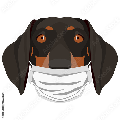Illustration Hund Dackel mit Atemschutzmaske