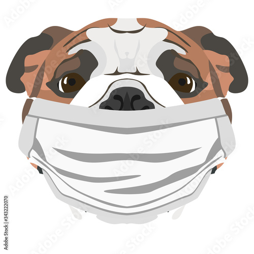 Illustration Hund Englische Bulldogge mit Atemschutzmaske