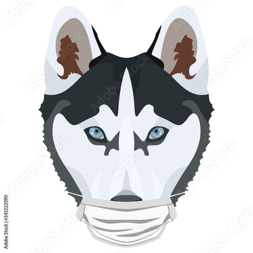 Illustration Hund Husky mit Atemschutzmaske