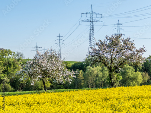 Strommasten einer Überlandleitung im Frühjahr
