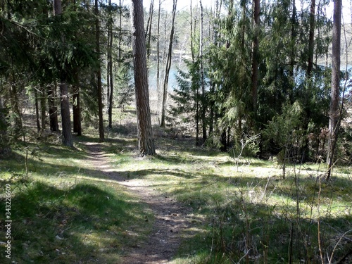 Fototapeta Naklejka Na Ścianę i Meble -  KODAK Digital Still Camera