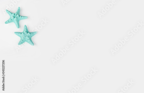 Aqua starfish off white copy space for text or graphics for signs  posters  mockups.