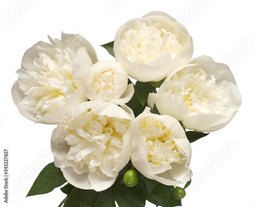 Flower arrangement delicate bouquet peony isolated on white background. Floral pattern, object. Flat lay, top view © Flower Studio