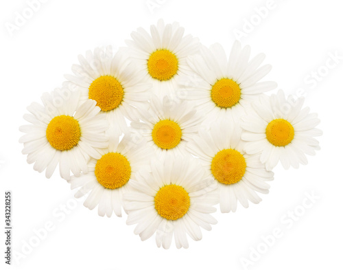 Fototapeta Naklejka Na Ścianę i Meble -  Collection white daisy flower isolated on white background. Flat lay, top view. Floral pattern, object